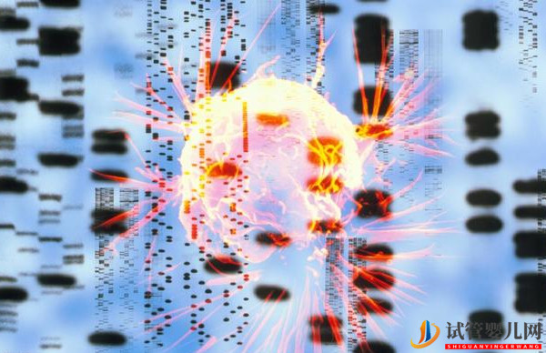 美國試管嬰兒技術(shù)資訊-阻隔274種遺傳病遺傳給下一代(試管嬰兒多少錢)(圖2) 阻隔274種遺傳病遺傳給下一代(圖1)