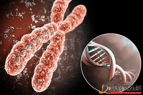 美國試管嬰兒指南如何科學(xué)提高成功率(圖2)