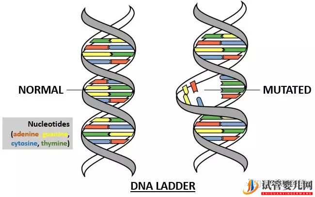 美國試管嬰兒究竟適合哪幾類人群(圖3)