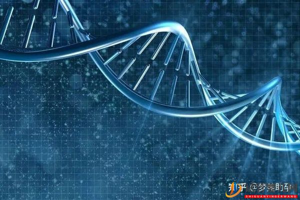 美國試管嬰兒移植囊胚的成功率能達到多少(圖4)