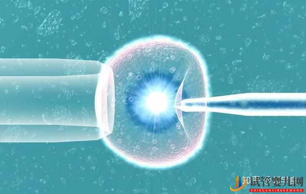 美國試管嬰兒資訊哪幾類人群需盡早赴美(圖4)