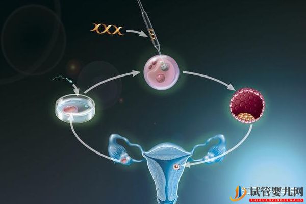 美國試管嬰兒資訊生同卵雙胞胎的概率分析(試管嬰兒多少錢)(圖5) 美國試管嬰兒資訊生同卵雙胞胎的概率分析(圖5)