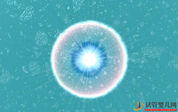 美國試管嬰兒非提前預支卵巢庫存-4點提高受精率(圖2)