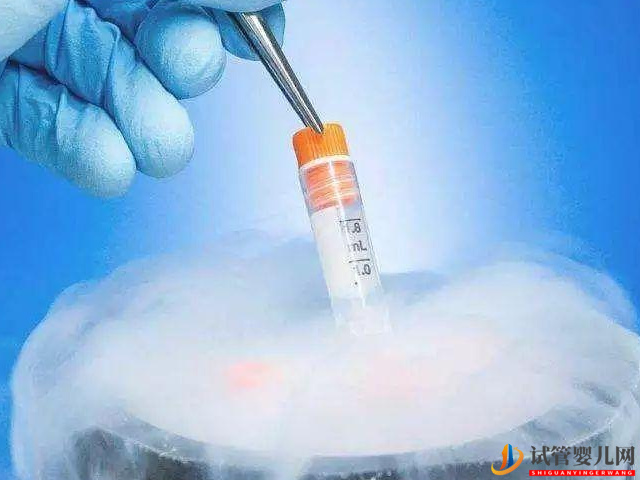 日本凍卵最好的醫院需要花多少錢？(圖1)