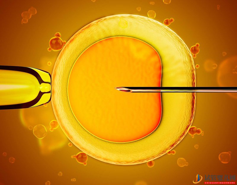 日本第三代試管嬰兒PGD技術申請流程(圖2)