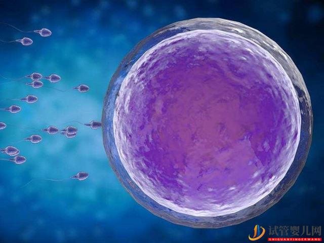 臺灣做供精供卵試管合法嗎？(圖1)