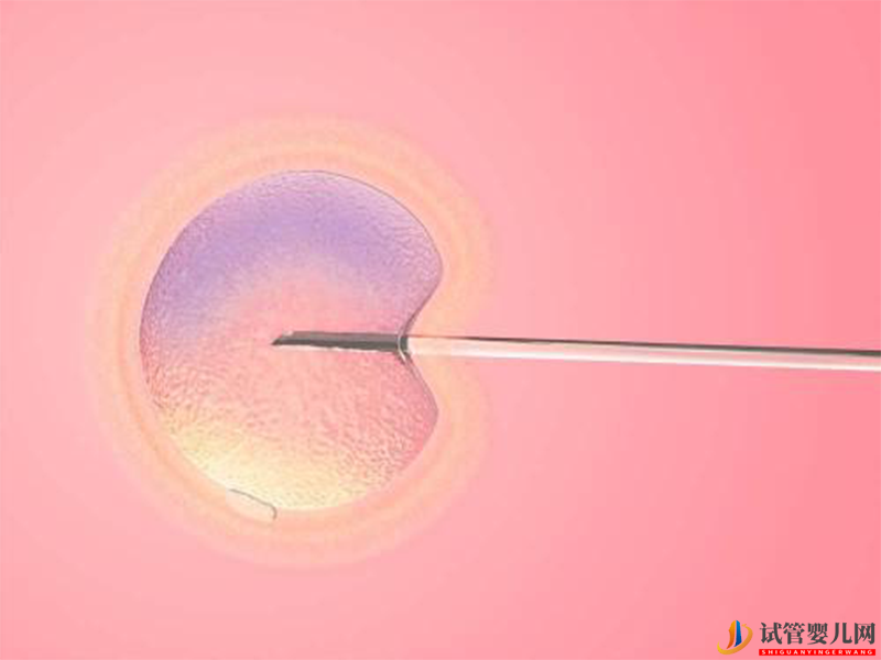 高齡女性在臺灣做試管成功率有多高？(圖1)