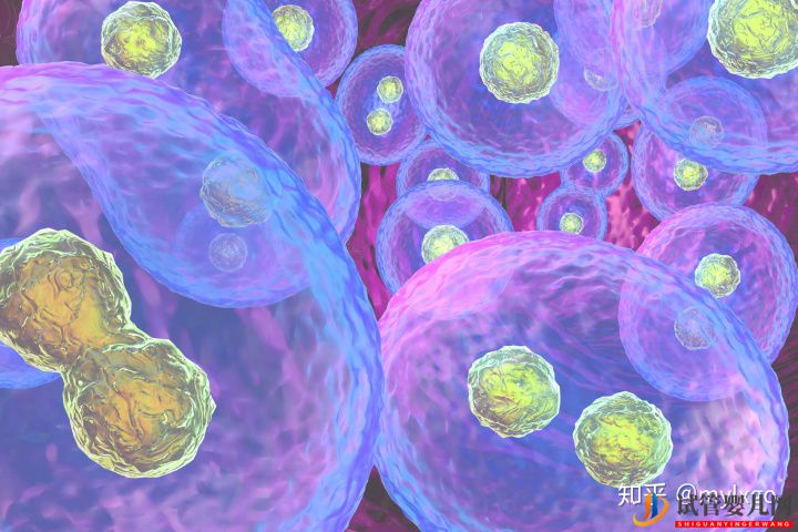 試管嬰兒的好處與壞處是什么(圖1)