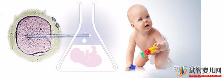 試管嬰兒的利弊都有哪些(圖2)