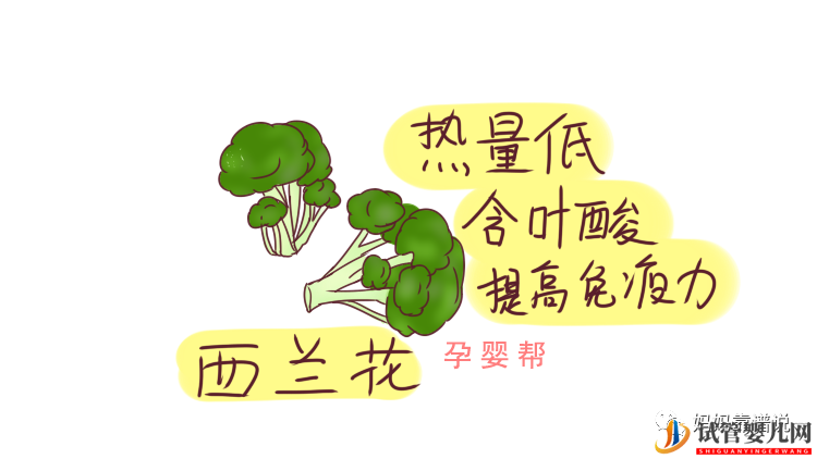 備孕女性必吃天然“葉酸”(圖1) 備孕女性必吃天然“葉酸”(圖1)