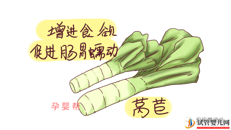 備孕女性必吃天然“葉酸”(圖2) 備孕女性必吃天然“葉酸”(圖2)