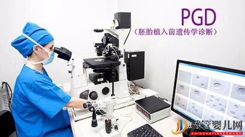 試管嬰兒第三代可以選性別嗎(圖1)