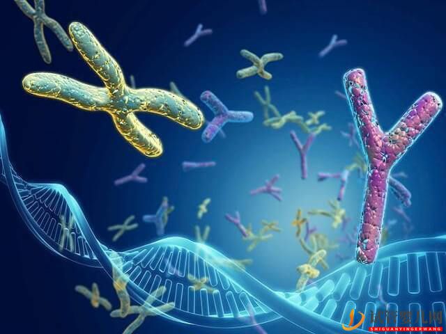 男方精子dna完整性差能不能做三代試管解決?(圖1) 男方精子dna完整性差能不能做三代試管解決?(圖1)