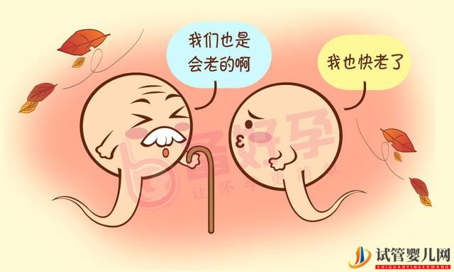 男性備孕，至少要禁欲七七四十九天(圖1)