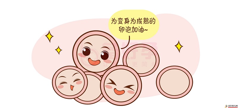 正常女性孕育寶寶的最佳機會只有180次(圖2)