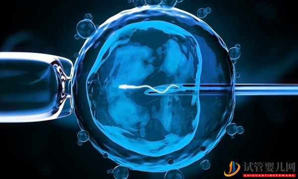 日本人工授精多少錢?(圖1) 日本人工授精多少錢?(圖1)