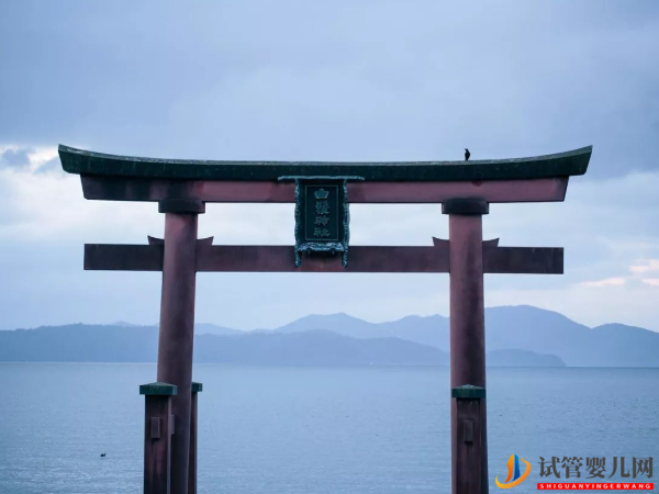 日本英醫院做試管的詳情收費，明細都在這兒！(圖2)