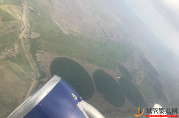 格魯吉亞試管親身經歷(圖4)