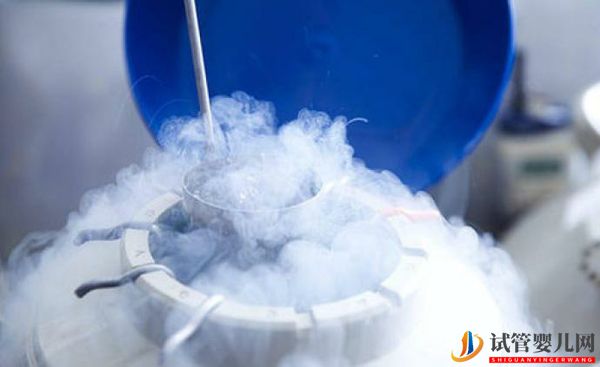 日本卵子冷凍時間不受限制、技術發達、費用較其他國家更經濟(圖3)