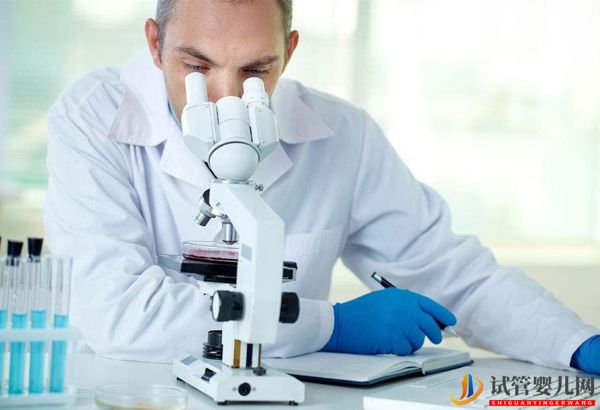 日本做試管嬰兒不要結婚證 只要提供護照(圖3)