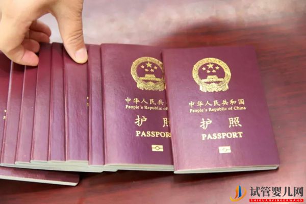 日本做試管嬰兒不要結婚證 只要提供護照(圖4)