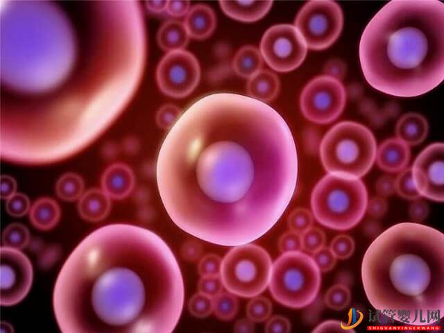 濰坊婦幼醫院做試管嬰兒成功率是多少(圖2)