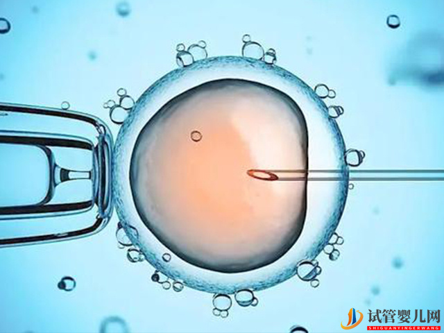 衡水衛校附屬醫院試管嬰兒成功率是多少呢?(圖1)