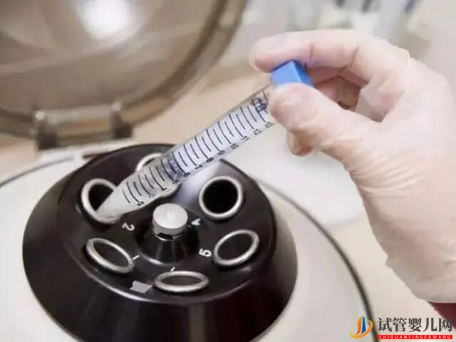 滄州有沒有開展供卵三代試管嬰兒技術？(圖1)