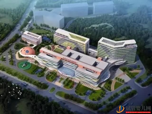 滄州二院做試管凍胚移植的成功率怎么樣？(圖1)