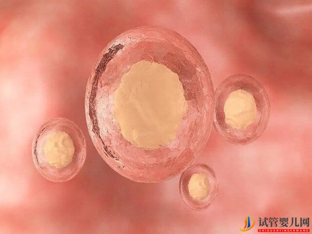 滄州做試管嬰兒可以選性別嗎?(圖1) 滄州做試管嬰兒可以選性別嗎?(圖1)