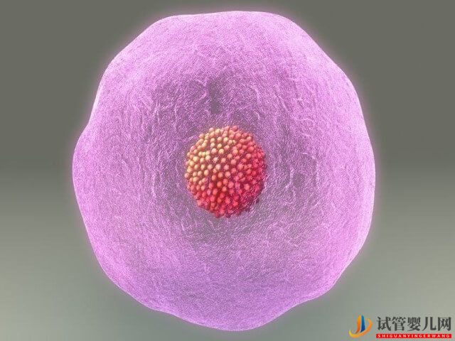 安徽合肥婦幼醫院試管嬰兒的成功率咋樣？(圖2)