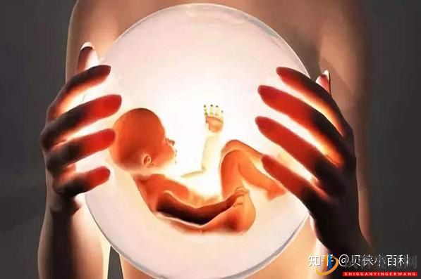 染色體異常做三代試管成功率高嗎,費用得要多少(圖1)