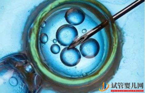 三代試管包生男孩價格-選男孩多少錢試管大約多少錢(圖1)