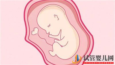 三代試管嬰兒大概需要多少錢試管選男女價格試管大約多少錢(圖3)