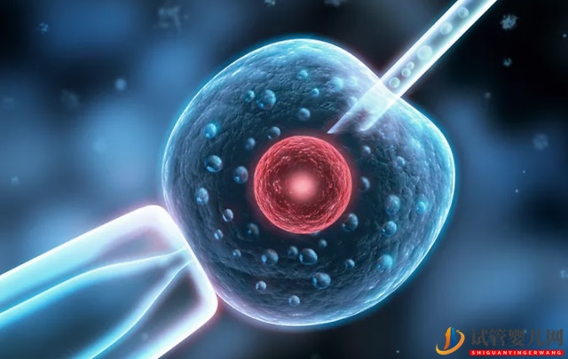 5.13試管嬰兒日,致敬全天下英雄的試管媽媽!(試管嬰兒費(fèi)用大概要多少錢)(圖1) 5.13試管嬰兒日,致敬全天下英雄的試管媽媽!(圖1)