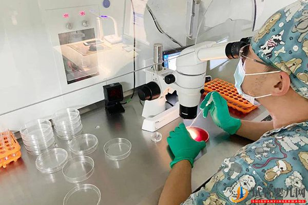 盤點促排卵四類適用人群(圖2)