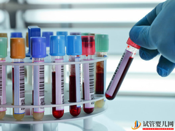 amh值0.15還沒絕經就能取卵助孕(圖2)