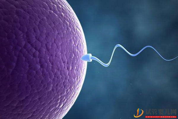 同性戀正規(guī)醫(yī)院供精、卵試管收費標(biāo)準(zhǔn)(圖2)