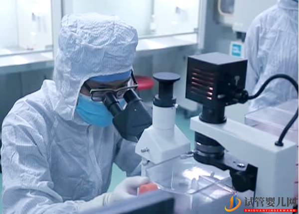 試管前檢查免疫風濕有原因，這5種情況下不可大意(圖1)