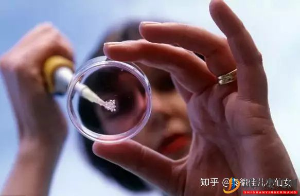 第三代試管嬰兒流程詳解,每一步都很詳細哦試管大約多少錢(圖1)