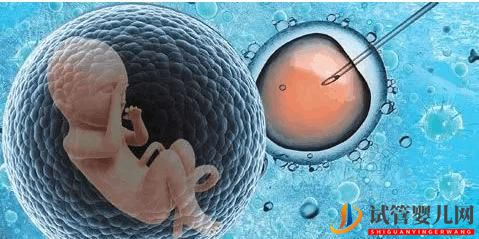 試管嬰兒有哪些風險?(圖1) 試管嬰兒有哪些風險?(圖1)