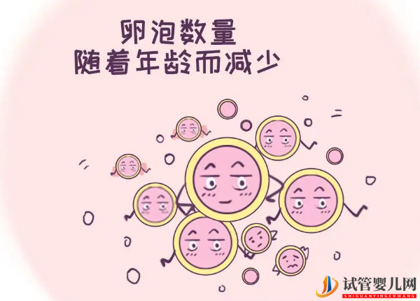 AMH值0.21絕經(jīng)前做試管還有生娃機會(圖2)