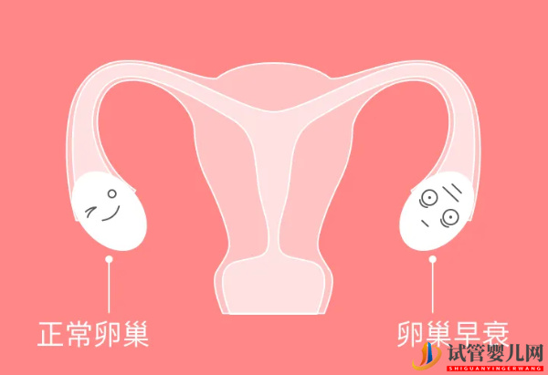 amh0.25卵泡真的不多了(圖2)