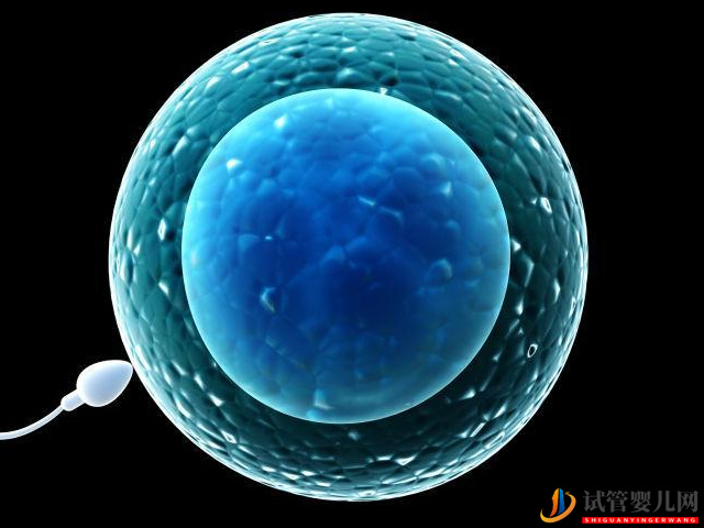 精子畸形率高達98%通過治療能恢復正常嗎？(圖2)