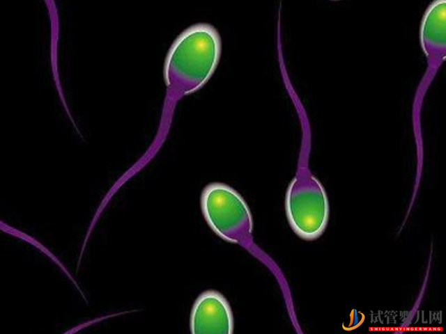 畸形精子癥影響生育別擔(dān)心，做試管就能“包辦婚姻”(圖1)