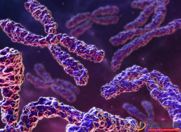 試管查染色體的原因無(wú)非就這幾點(diǎn)(圖2) 試管查染色體的原因無(wú)非就這幾點(diǎn)(圖2)