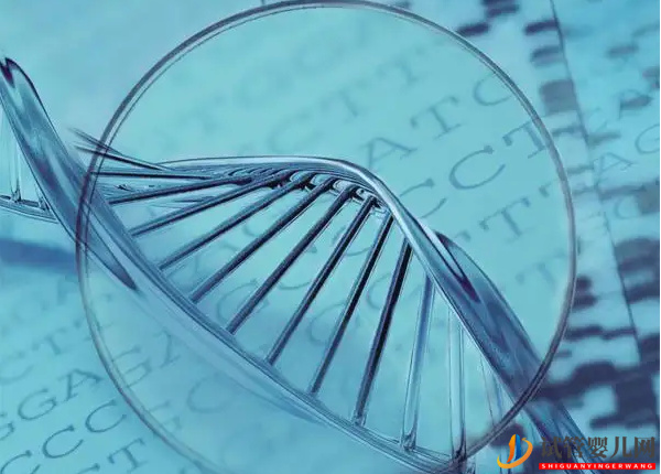 做試管必須重視基因檢測(cè)(圖2) 做試管必須重視基因檢測(cè)(圖2)