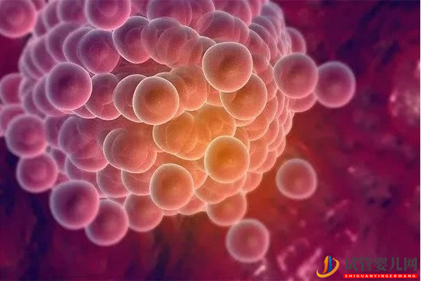 排卵障礙做試管選擇合適方案能提高懷孕率(圖2)