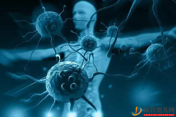 免疫系統(tǒng)有問題懷不上？做試管可以幫助解決(圖1)