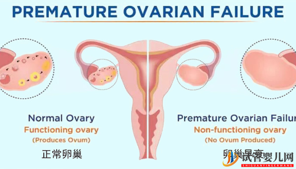 卵巢功能不好也可做試管！成功經驗講述如何把影響縮小(圖1)